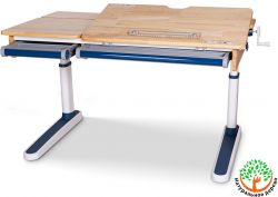 Детская парта Mealux Premium Oxford Wood Lite